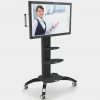 Mobile LCD or Plasma Stand