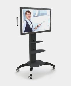 Mobile LCD or Plasma Stand